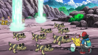 EP663 Manada de Sandile.png