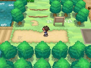 Pokémon BN Primavera.png