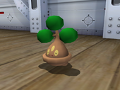 Bonsly en Pokémon XD