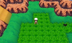 Isla espejismo ruta 124.png