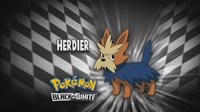 EP676 Quién es ese Pokémon.png