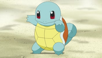 EP843 Squirtle de Benigno