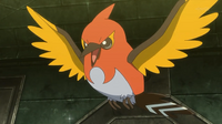 EP848 Fletchinder.png