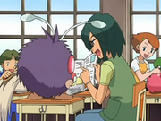 EP557 Conway con Venonat
