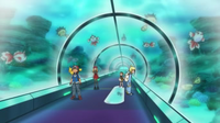 EP826 Acuario Petroglifo (2)