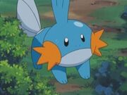 EP301 Mudkip.jpg