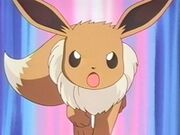 EP185 Eevee de Sakura.jpg