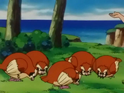 EP213 Pidgey de Wilbur.png