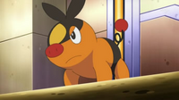 EP739 Tepig de Ash.png