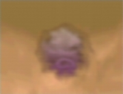Señal Koffing Snap.jpg