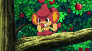 EP720 Pansear comiendo.jpg