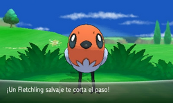 Fletchling salvaje.png