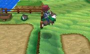 Montando a Skiddo.jpg