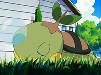 EP535 Turtwig dormido.png
