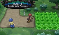 RUTA 18.png
