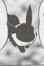 PMS019 Eevee.jpg