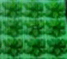 Segmento de pasto brillante.gif