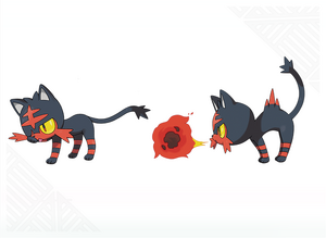 Artwork de Litten
