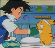 EP014 Centro Pokémon.jpg