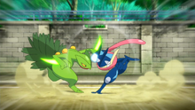 EP909 Sceptile vs Greninja.png