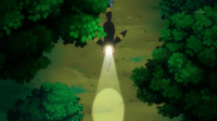 EP764 Umbreon usando destello(2).png