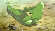 EP792 Metapod.png
