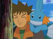 EP355 Mudkip y Brock.jpg