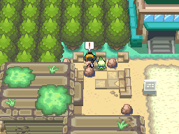 Encontrando un objeto bajo una roca.png