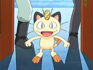 EP574 Meowth.png