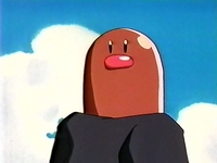 EP116 Diglett de Poncho.jpg