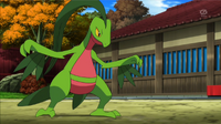 EP879 Grovyle de Scottie.png
