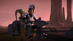 Hera and Scout Ezra