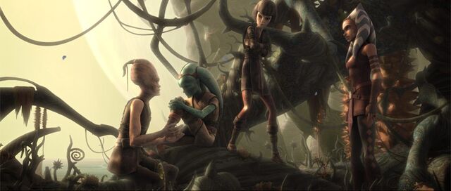 Archivo:Ahsoka y Kalifa.jpg