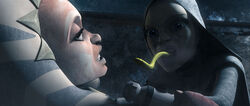 Barriss infected.jpg
