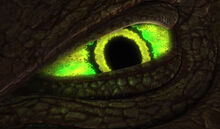 Zillo Beast eye