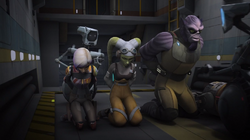 HeraSabineZebPrisoners.png