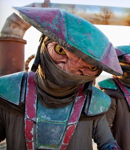 Archivo:Constable Zuvio.jpeg