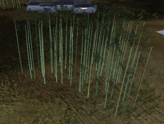 Archivo:Bamboo.jpg