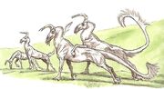 Gualama4-woswfg.jpg