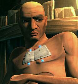 Bacta patch.jpg