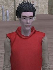 Kitster de adulto.png