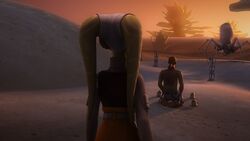 Steps Into Shadow 4.jpg