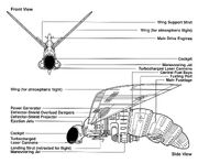 Hornet-Interceptor egvv.jpg