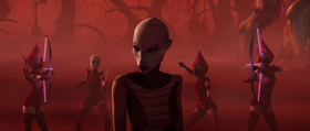 WelcomeHomeAsajj-Nightsisters.png