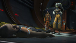 Hera Trayvis.jpg