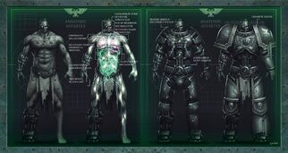 Anatomia de un Astarte.jpg