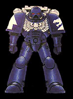 Marine Dragón Estelar.jpg