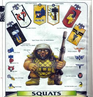 Insignias squat.jpg