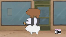 Burrito 008