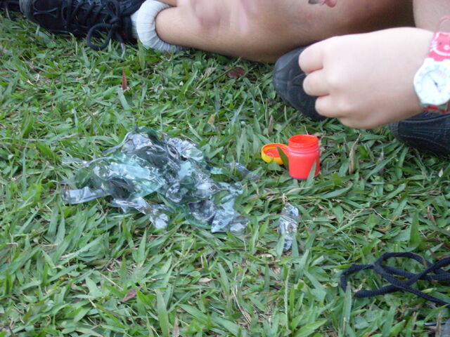 Arquivo:SDC11121.jpg